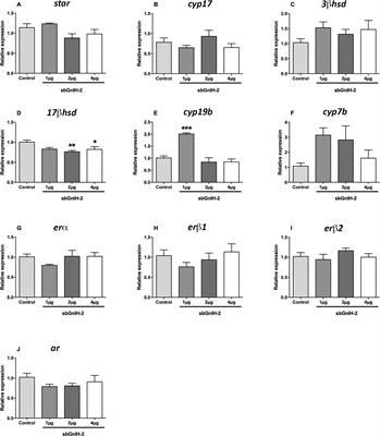 Gonadotropin inhibitory-hormone modulates neurosteroids-synthesizing enzymes expression and aggressive behavior in male sea bass, Dicentrarchus labrax